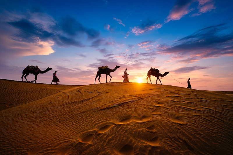 Sunset Camel Safari