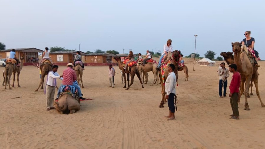 Camel Ride