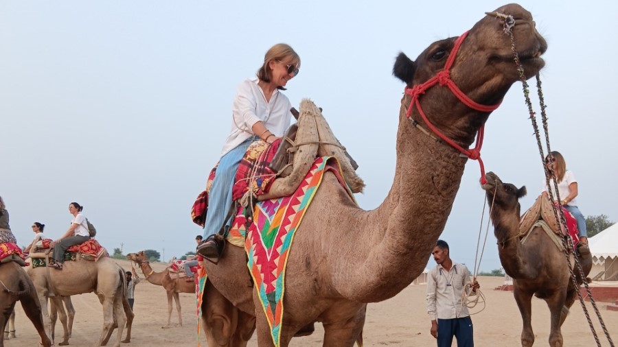 Camel Ride