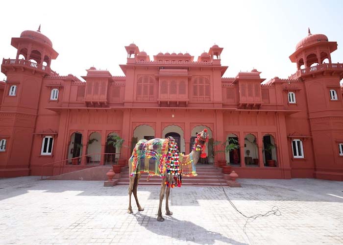 Camel Ride