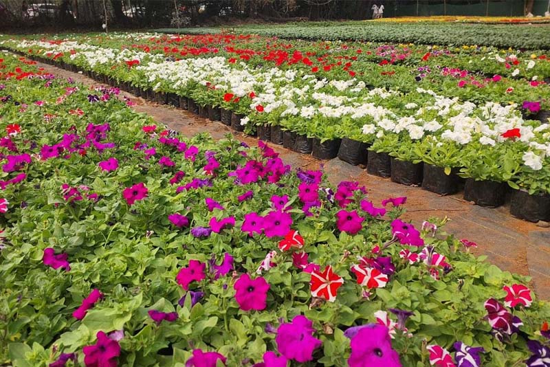 Empress Botanical Garden