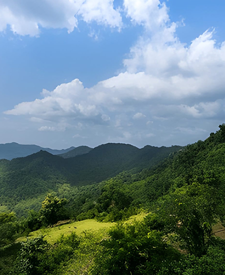 Araku Valley